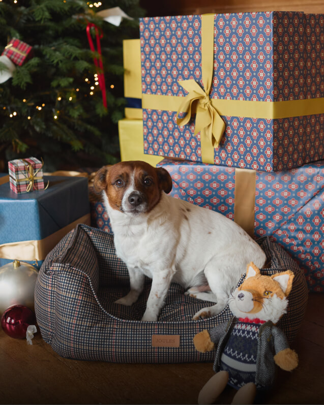 GIFTS FOR PETS